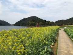 -广州市石门国家森林公园