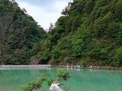 -狮子沟牧场