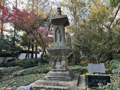 -汇龙潭
