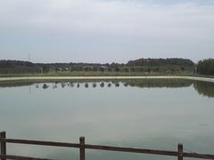 -梁子湖东篱老屋生态庄园