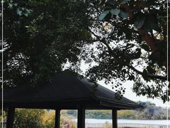 -广东花都湖国家湿地公园