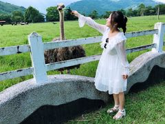 -瑞穗牧场