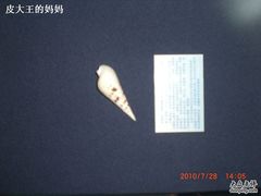 -上海海洋大学鱼文化博物馆(军工路校区)