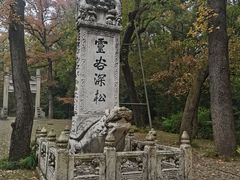 -灵谷景区