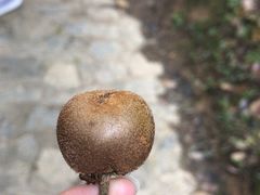 -山王坪喀斯特国家生态公园