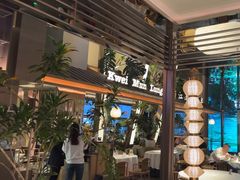 -桂满陇·海市蜃楼·黑金(国金店)