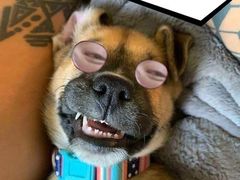 -德悦高风味餐厅