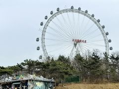 -大连森林动物园