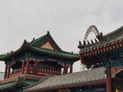 -天津大悲禅院