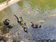 -海南热带野生动植物园