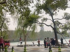 -浙江西子宾馆·牡丹厅