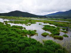景点-腾冲北海湿地