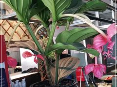 -王家渡火锅店(怀柔迎宾北路店)