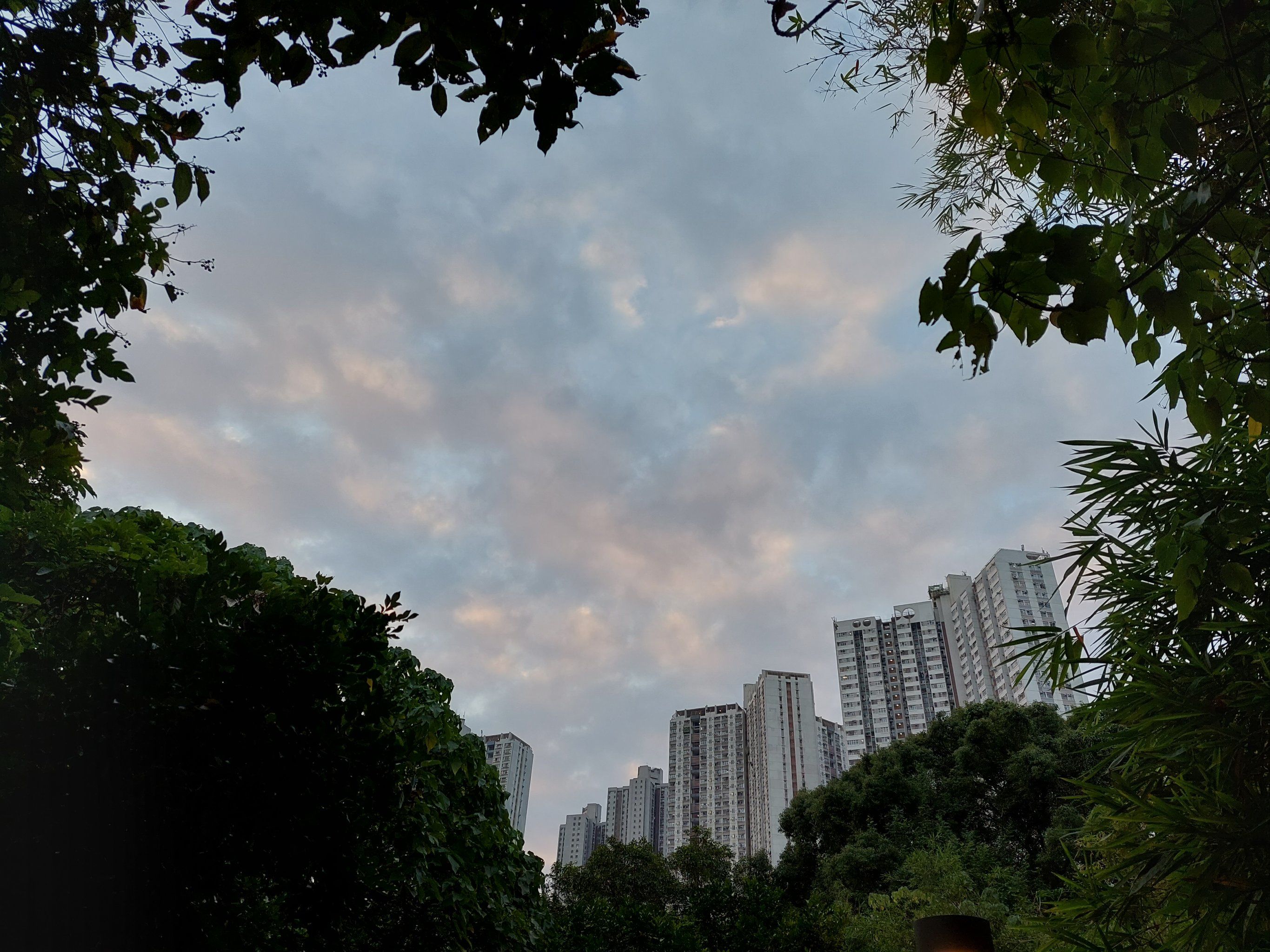 早上的天空很美