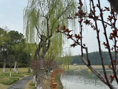 -黄兴公园