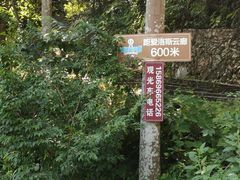 -温州永嘉书院