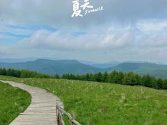 -红崖峡谷景区