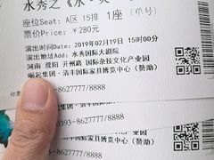 -水秀国际大剧院