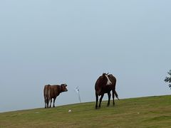 -趣飞飞黑麋峰国际滑翔伞基地