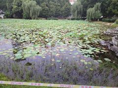 -堤角公园