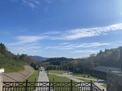 -云岭野山参风景区