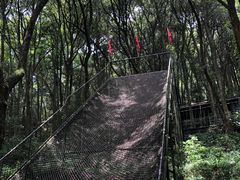 -富春桃源风景区