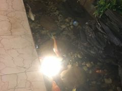 -亚洲国际大酒店