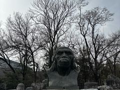 -周口店北京人遗址公园