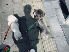 -默迹咖啡馆