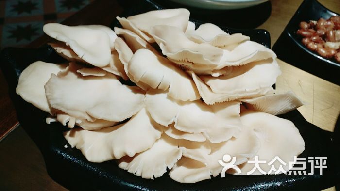 平菇