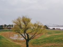 -上海山野camping·户外天幕烧烤·团建拓展营地