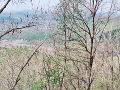 -帽儿山风景区