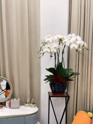 -新蝶变皮肤管理中心