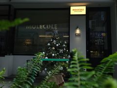 -MOLECULECOFFEE.MANDO 莫勒喝咖啡