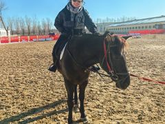 -北京群众马术培训基地