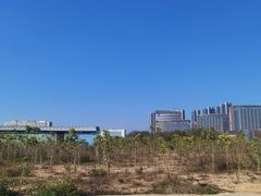 -光明小镇欢乐田园