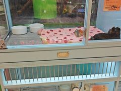 -FAELING PETS美天灵宠物(合生汇店)