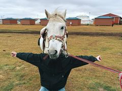 -青海名吃尕张娃非遗烤肉(城中店)