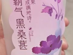 -奈雪的茶(佛山顺德美的悦然广场店)