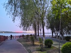 -丁香湖公园