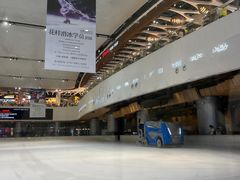 -TheRink大零溜冰场(IFS国金中心店)