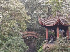 -峨眉山风景名胜区