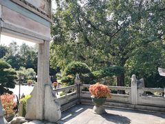 -国恩寺