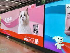 -大望路(地铁站)