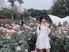 -人民公园(罗湖区)