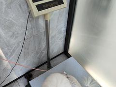 -北京派仕佳德动物医院·超导核磁·CT·神经科·骨科·内外科·急重症管理中心