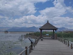 -哈素海