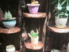 -慢丽江·云南野生菌土鸡锅(西山店)