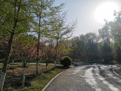 -长白岛森林公园