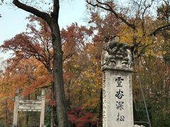 -灵谷景区